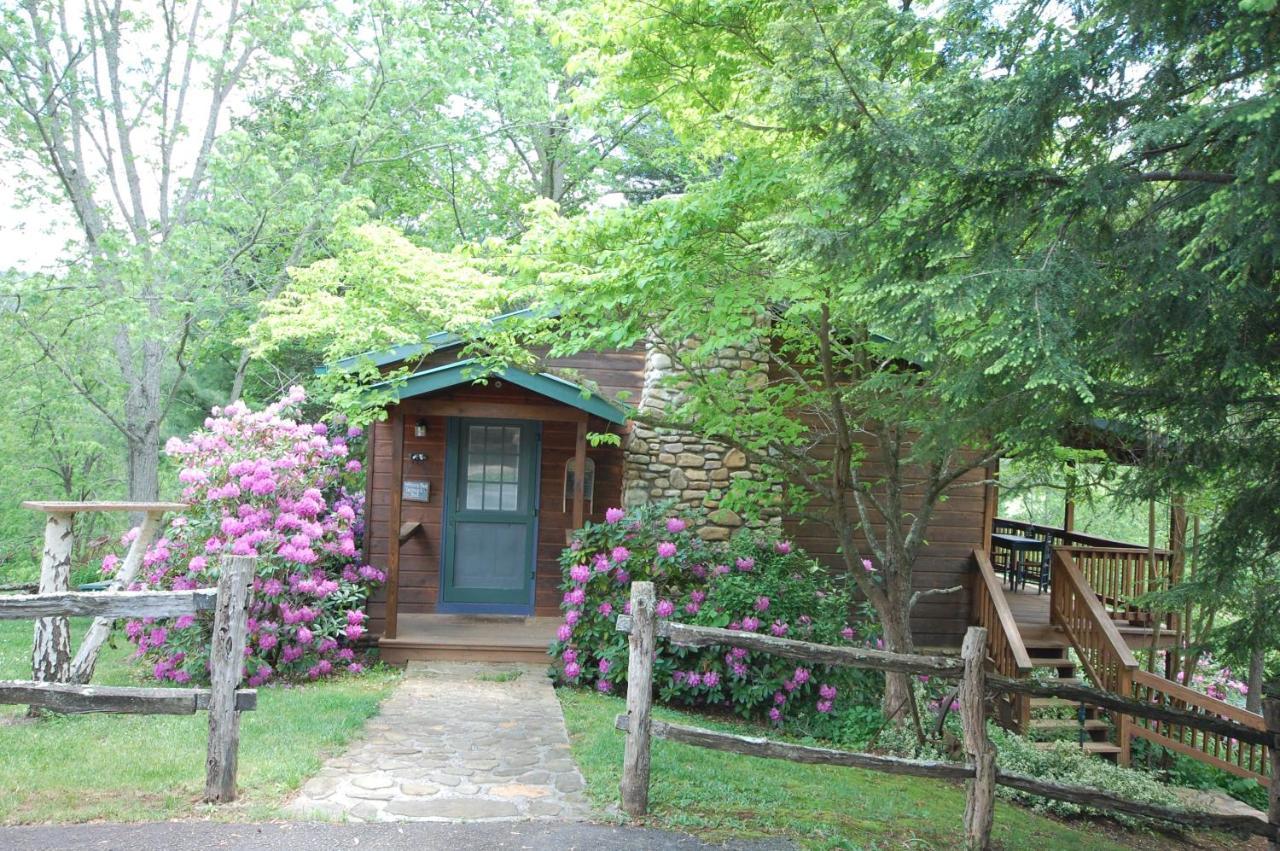 Mountain Springs Cabins Hotel Candler Exterior foto