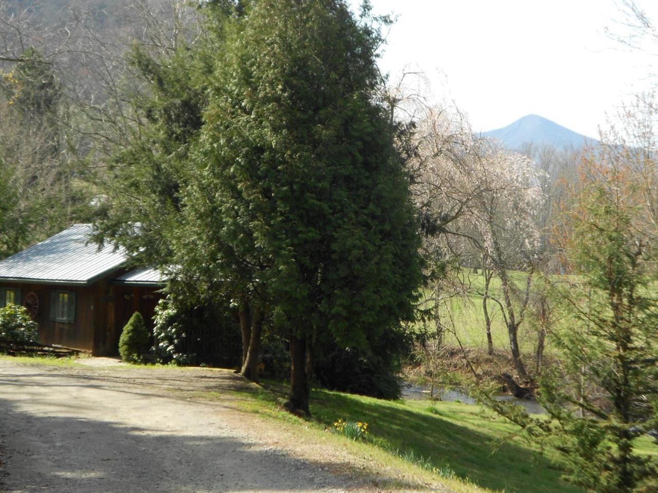 Mountain Springs Cabins Hotel Candler Exterior foto